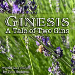 Ginesis: A Tale of Two Gins