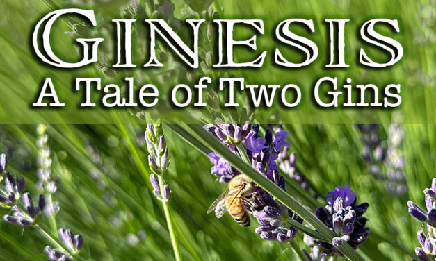 Ginesis: A Tale of Two Gins