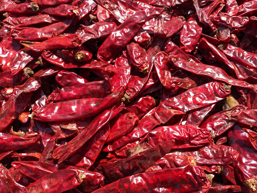 redchilepods